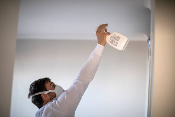 Office Mold Removal Services in Hawi, HI